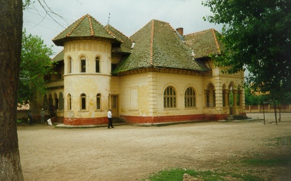 Photograph